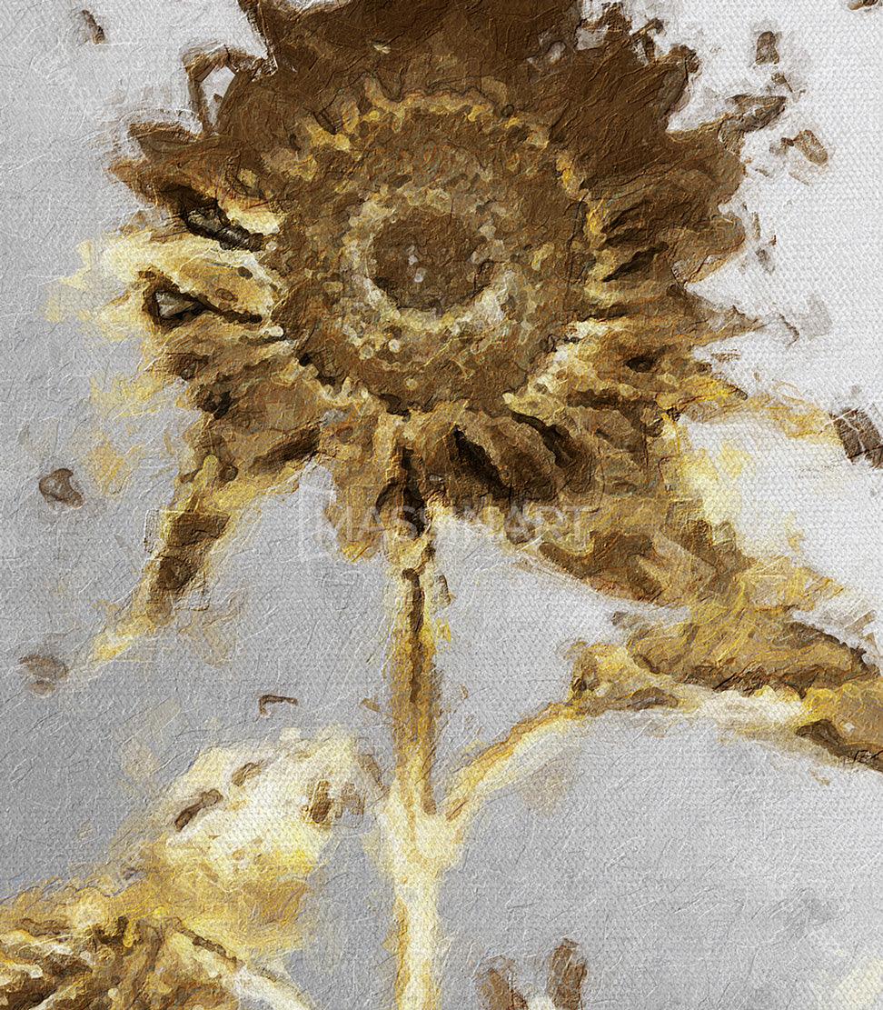 Tableau décoratif Rebirth - Décoration triptyque - Massinart.ma  décoration murale au Maroc